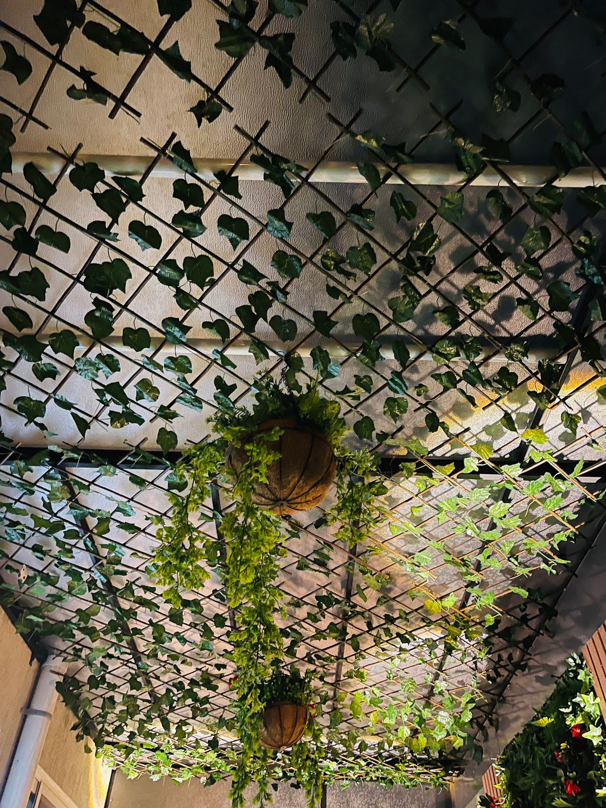 عشب صناعي (43)